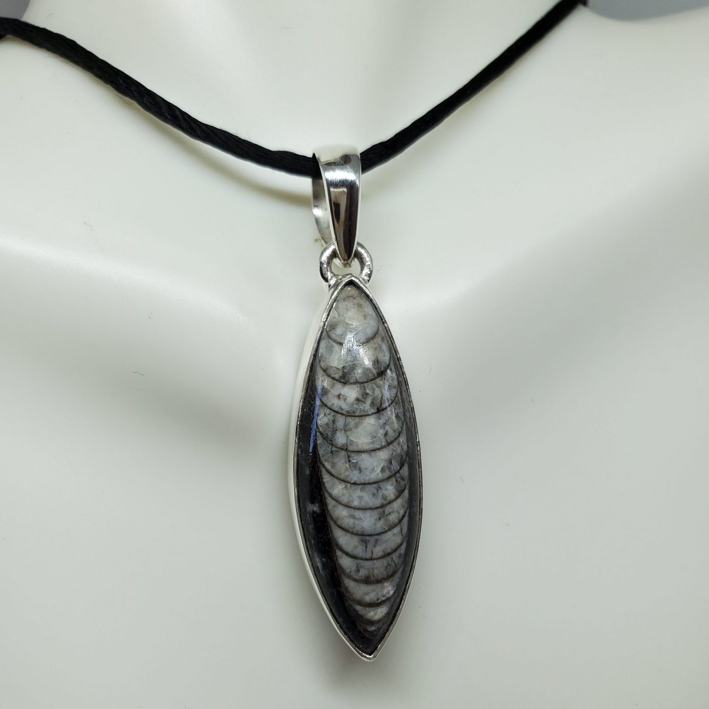 Black Orthoceras Pendant