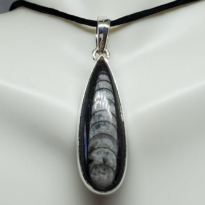 Black Orthoceras Pendant