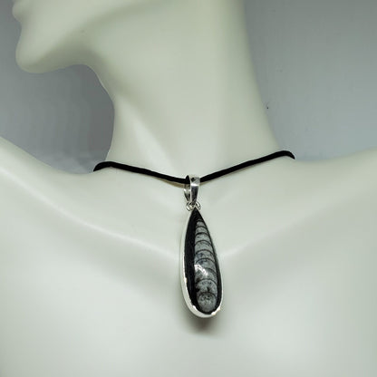 Black Orthoceras Pendant