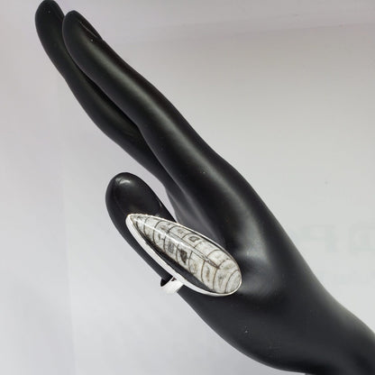 Black Orthoceras Ring size 8