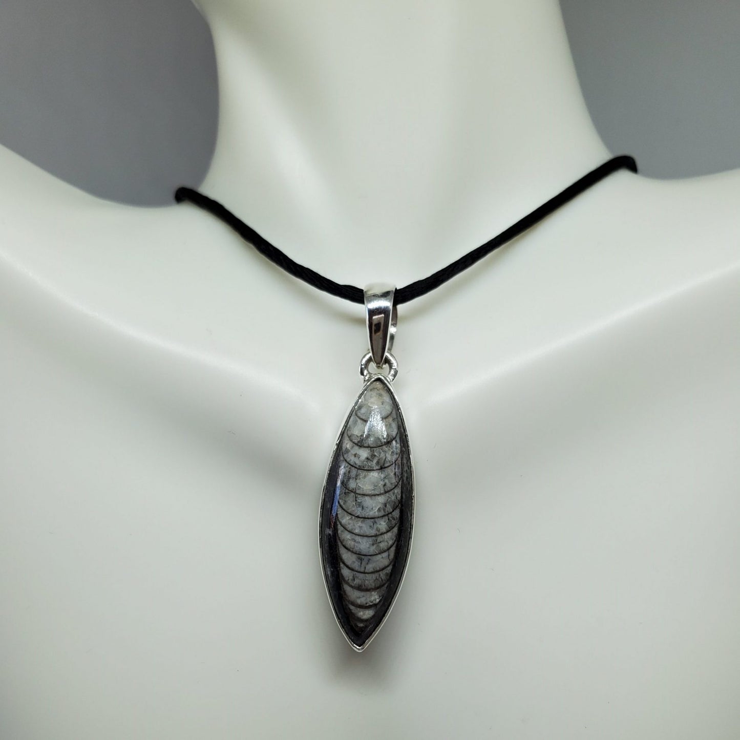 Black Orthoceras Pendant